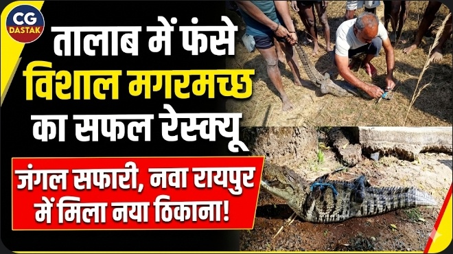 Screenshot_20260220_162331