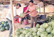गर्मी ने दी दस्तक, सज गई तरबूज की दुकानें राहगीरों को आकर्षित कर रहे काला और पट्टा तरबूज