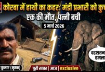 कोरबा में हाथी का कहर: उपार्जन केंद्र में सो रहे मंडी प्रभारी को कुचलकर मार डाला, पत्नी ने भागकर बचाई जान