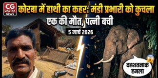 कोरबा में हाथी का कहर: उपार्जन केंद्र में सो रहे मंडी प्रभारी को कुचलकर मार डाला, पत्नी ने भागकर बचाई जान