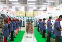 ₹50 से कम का शेयर बना निवेशकों का फेवरेट! 1 साल में 62% रिटर्न की उम्मीद, लेकिन पहले जान लें ये 3 बड़े रिस्क ₹50 से कम का शेयर बना निवेशकों का फेवरेट! 1 साल में 62% रिटर्न की उम्मीद, लेकिन पहले जान लें ये 3 बड़े रिस्क