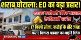 शराब घोटाले में ED की बड़ी कार्रवाई: बिलासपुर में विवेक अग्रवाल के ठिकानों से 17 किलो सोना, करोड़ों के हीरे और नकदी बरामद