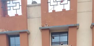 सिंघोडा पुलिस की बड़ी कार्रवाई: कटहल की आड़ में गांजा तस्करी का भंडाफोड़, 70 लाख से अधिक की सामग्री जब्त