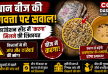 CG News: धान बीज की गुणवत्ता पर उठे सवाल, फाउंडेशन सीड में ‘करगा’ मिलने की शिकायत; किसानों ने जांच की मांग की