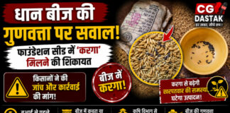 CG News: धान बीज की गुणवत्ता पर उठे सवाल, फाउंडेशन सीड में ‘करगा’ मिलने की शिकायत; किसानों ने जांच की मांग की