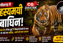 CG News: उदंती-सीतानदी टाइगर रिजर्व में रहस्यमयी बाघिन की दस्तक, 700 किमी दूर तक नहीं मिला कोई रिकॉर्ड