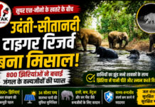 CG News: सुपर एल-नीनो के खतरे के बीच उदंती-सीतानदी टाइगर रिजर्व बना मिसाल, 800 झिरियाओं ने बचाई वन्यजीवों की प्यास