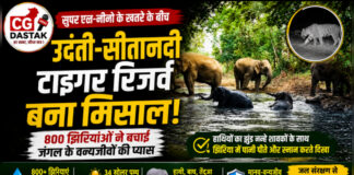 CG News: सुपर एल-नीनो के खतरे के बीच उदंती-सीतानदी टाइगर रिजर्व बना मिसाल, 800 झिरियाओं ने बचाई वन्यजीवों की प्यास