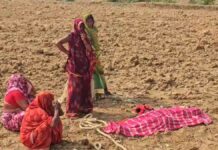 CG News: पेड़ पर लटकी मिली नवविवाहिता की लाश, मायके वालों ने ससुराल पक्ष पर लगाया प्रताड़ना का आरोप