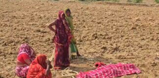 CG News: पेड़ पर लटकी मिली नवविवाहिता की लाश, मायके वालों ने ससुराल पक्ष पर लगाया प्रताड़ना का आरोप