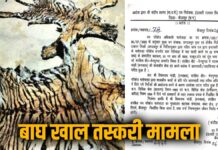 बीजापुर बाघ खाल तस्करी मामला: रेंजर, डिप्टी रेंजर और बीट गार्ड निलंबित, 7 आरोपी पहले ही जा चुके हैं जेल