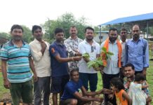 एक परिवार – एक वृक्ष” अभियान के तहत बोरझरा में हुआ वृहद वृक्षारोपण, प्रदीप साहू हुए शामिल