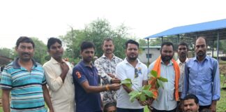 एक परिवार – एक वृक्ष” अभियान के तहत बोरझरा में हुआ वृहद वृक्षारोपण, प्रदीप साहू हुए शामिल
