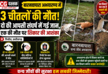 बारनवापारा अभयारण्य में 3 चीतलों की मौत, दो की आपसी संघर्ष में गई जान, एक की मौत पर शिकार की आशंका