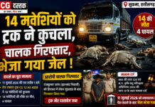 सुकमा में दर्दनाक हादसा: ट्रक ने 18 मवेशियों को कुचला, 14 की मौत, चालक गिरफ्तार