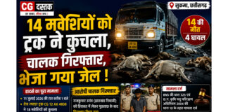 सुकमा में दर्दनाक हादसा: ट्रक ने 18 मवेशियों को कुचला, 14 की मौत, चालक गिरफ्तार