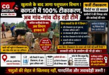 खुलासे के बाद जागा पशुपालन विभाग! कागजों में 100% टीकाकरण, अब गांव-गांव दौड़ रही टीमें