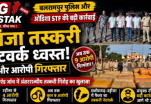 बलरामपुर पुलिस और ओडिशा STF की बड़ी कार्रवाई, गांजा तस्करी नेटवर्क ध्वस्त; 4 और आरोपी गिरफ्तार