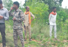चिरमिरी वन परिक्षेत्र में संदिग्ध परिस्थितियों में मिला वयस्क नर भालू का शव, जांच शुरू