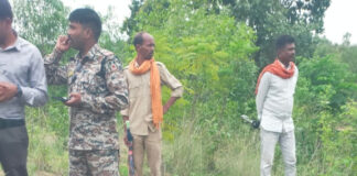 चिरमिरी वन परिक्षेत्र में संदिग्ध परिस्थितियों में मिला वयस्क नर भालू का शव, जांच शुरू