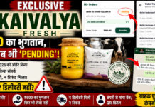 EXCLUSIVE | ₹900 का भुगतान, ऑर्डर अब भी ‘Pending’! Kaivalya Fresh पर ग्राहक ने लगाए रिफंड और डिलीवरी में देरी के गंभीर आरोप