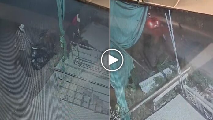 LOOT-VIDEO