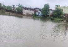 🚨 अभनपुर में सनसनी: तालाब में तैरता मिला अज्ञात युवती का शव, हत्या की आशंका से दहशत