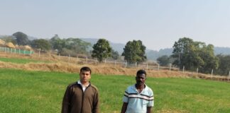 खरीफ के साथ रबी फसल अपनाकर आत्मनिर्भर बन रहे किसान, जशपुर के कीना राम ने बढ़ाई आय