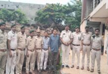 कोरबा वन विभाग की बड़ी कार्रवाई, रायपुर की आरा मिल से 20 घन मीटर अवैध साल लकड़ी बरामद