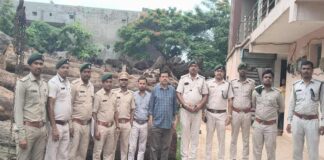 कोरबा वन विभाग की बड़ी कार्रवाई, रायपुर की आरा मिल से 20 घन मीटर अवैध साल लकड़ी बरामद