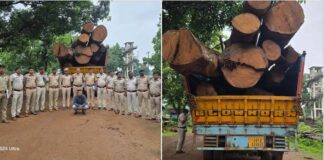 7 पेड़ों की शिकायत से खुला 9 लाख की लकड़ी तस्करी का खेल! कोरबा से रायपुर तक फैला नेटवर्क बेनकाब