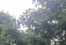रायपुर में बारिश का असर: आदर्श नगर मोवा में सड़क बनी जलधारा, तेज बहाव का वीडियो आया सामने