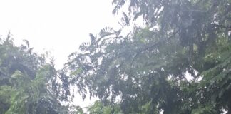 रायपुर में बारिश का असर: आदर्श नगर मोवा में सड़क बनी जलधारा, तेज बहाव का वीडियो आया सामने
