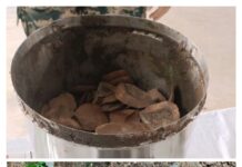 कांकेर के जंगल में नक्सल डंप का खुलासा, 3.5 किलो पैंगोलिन शल्क समेत नक्सल सामग्री बरामद