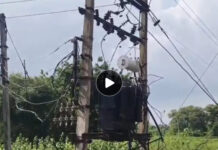 लोलेसरा में 10 साल से लो-वोल्टेज की समस्या, 150 घर प्रभावित; ग्रामीणों ने कलेक्टर से मांगा नया 100 KVA ट्रांसफॉर्मर