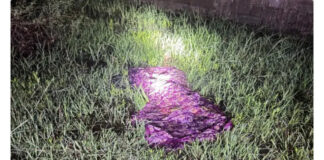 महिला की हत्या और दुष्कर्म से सनसनी, रायपुर पुलिस ने आरोपी को दबोचा