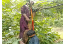 सरगुजा-सूरजपुर सीमा पर जंगल में युवक-युवती के शव मिलने से सनसनी, पुलिस जांच में जुटी