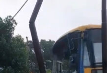 बस की टक्कर से बिजली का खंभा टूटा, कोरिया कालरी की बिजली सप्लाई ठप; 3 दिन तक संकट की आशंका