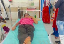 कोरबा में कोबरा ने डसा तो अस्पताल पहुंचा सांप! डॉक्टरों ने मांगी प्रजाति की पहचान, स्नेक कैचर ने किया रेस्क्यू