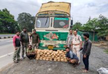 🚨 महासमुंद में गांजे की बड़ी खेप पकड़ी गई, कंटेनर में छिपाकर ले जा रहे थे 120 किलो गांजा