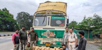 🚨 महासमुंद में गांजे की बड़ी खेप पकड़ी गई, कंटेनर में छिपाकर ले जा रहे थे 120 किलो गांजा