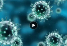 📰 दुर्ग में H1N1 का बढ़ा खतरा, 13 मरीज मिले; 4 स्वस्थ होकर लौटे घर, 7 अस्पताल में भर्ती