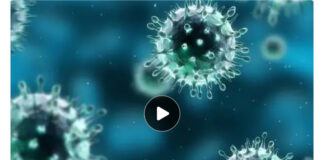 📰 दुर्ग में H1N1 का बढ़ा खतरा, 13 मरीज मिले; 4 स्वस्थ होकर लौटे घर, 7 अस्पताल में भर्ती