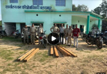 🚨 बलरामपुर में अवैध साल लकड़ी परिवहन पर वन विभाग की कार्रवाई, 2 आरोपी गिरफ्तार