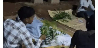 🚨 रेल पटरी पर मोबाइल गेम खेलना पड़ा भारी, मालगाड़ी की चपेट में 14 वर्षीय छात्र की मौत; दोस्त गंभीर घायल