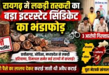 रायगढ़ में लकड़ी तस्करी के बड़े इंटरस्टेट सिंडिकेट का भंडाफोड़