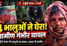 🐻 अर्जुनी जंगल में 4 भालुओं का हमला, दो ग्रामीण घायल; एक की हालत गंभीर