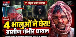 🐻 अर्जुनी जंगल में 4 भालुओं का हमला, दो ग्रामीण घायल; एक की हालत गंभीर
