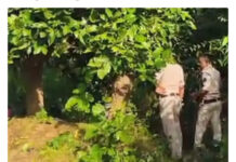 🚨 बलरामपुर में लापता युवक की हत्या का शक, झाड़ियों के पास गड्ढे में मिला सिर; धड़ की तलाश जारी