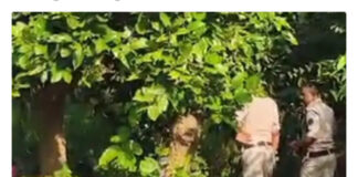 🚨 बलरामपुर में लापता युवक की हत्या का शक, झाड़ियों के पास गड्ढे में मिला सिर; धड़ की तलाश जारी